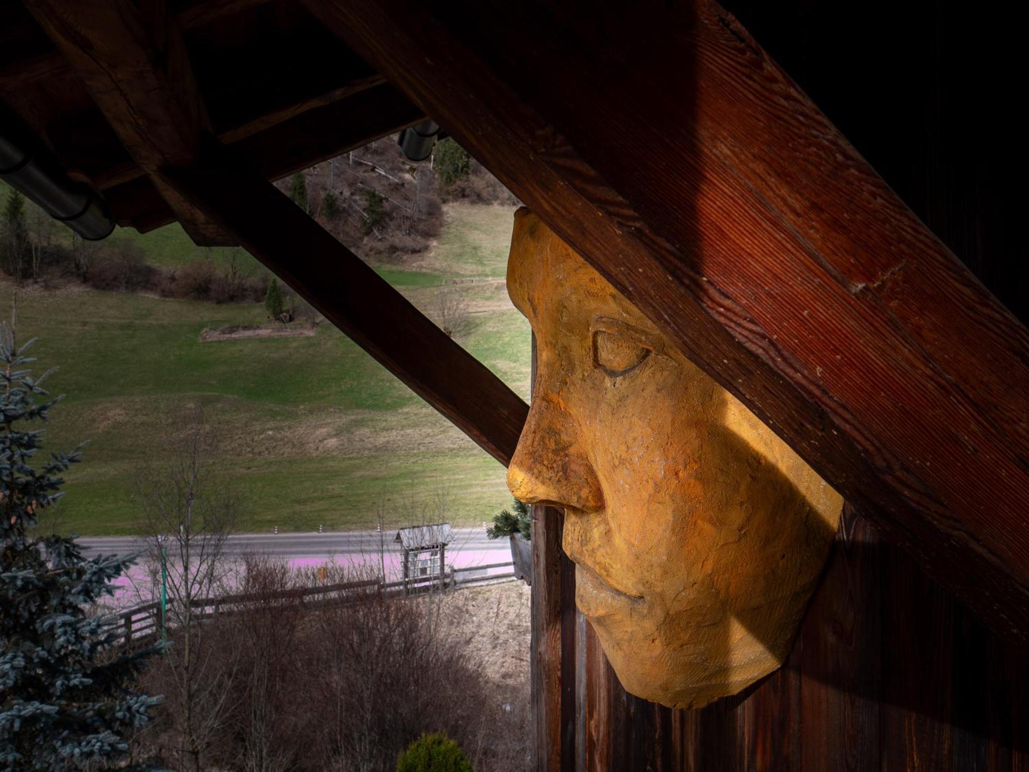 Alpine Mountain Chalet San Vigilio Di Marebbe Ngoại thất bức ảnh